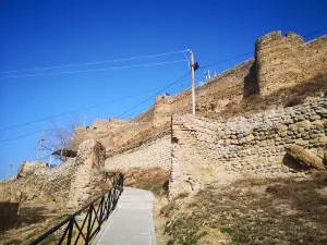 Castillo de Gori