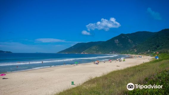 Florianopolis