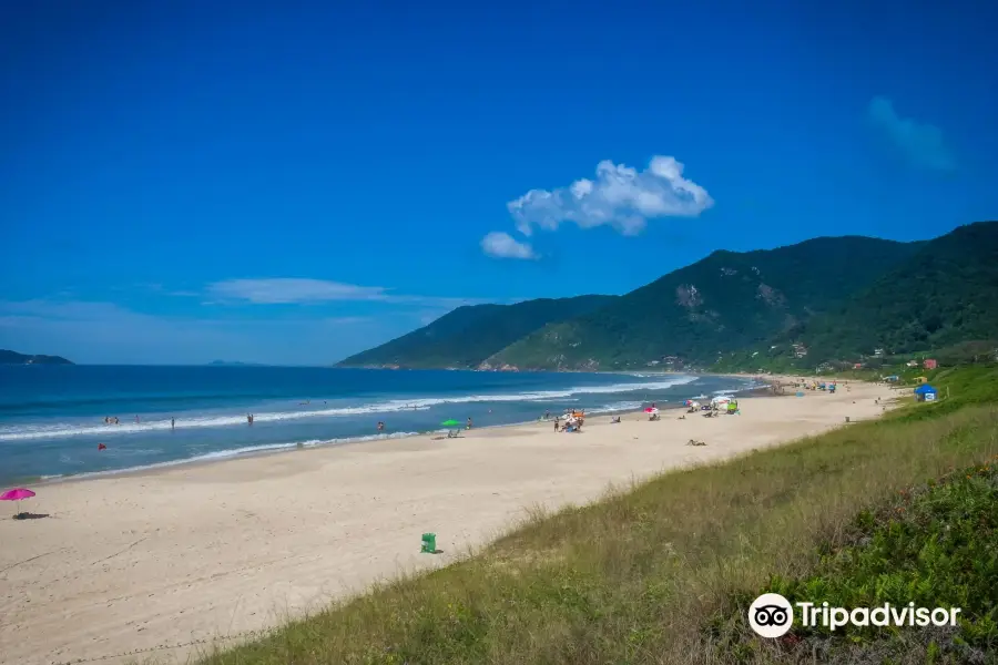 Praia dos Acores