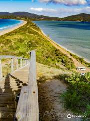 Truganini - The Neck Game Reserve Lookout