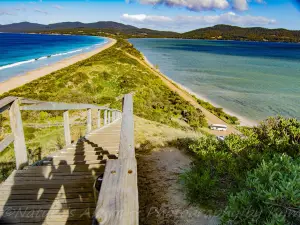 The Neck Game Reserve Lookout