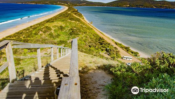 The Neck Game Reserve Lookout