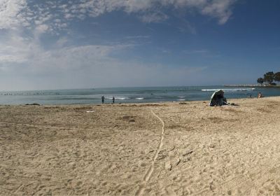 Doheny State Beach