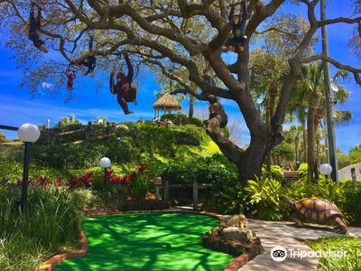 Coconut Creek Family Fun Park