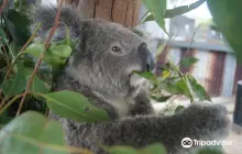 獵人谷野生動物園