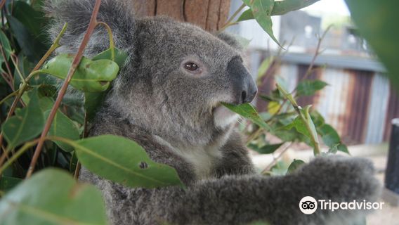 Hunter Valley Wildlife Park