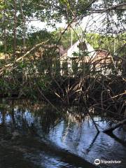 Caroni Lagoon National Park