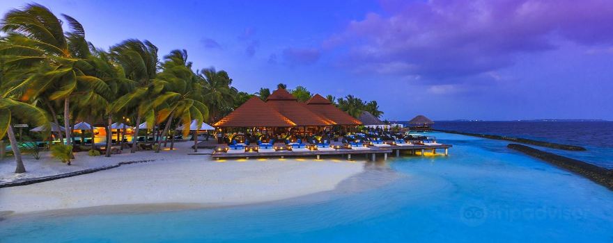 Vihamanafushi