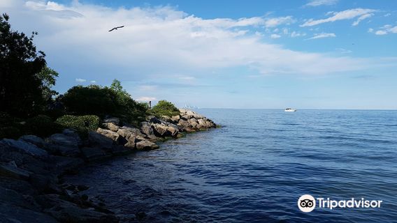 Мемориальный парк Джек Дарлинг