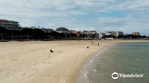 Bassin d'Arcachon