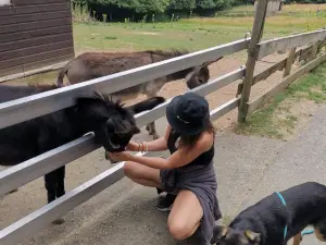 Wildpark Osterzgebirge