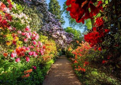 Leonardslee Gardens