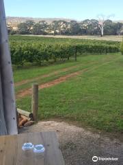 Spring Vale Vineyard