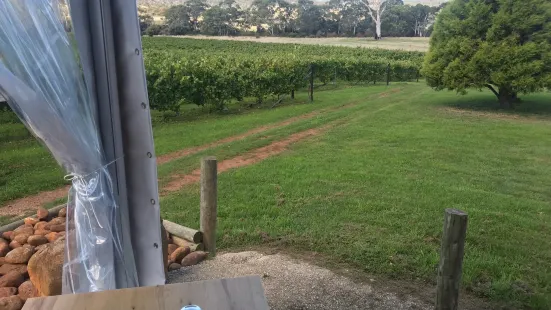 Spring Vale Vineyard