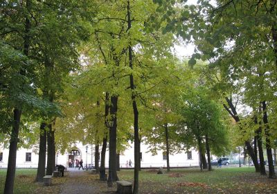 Royal Castle in Niepolomice - Museum)