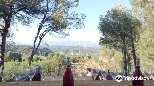 Castellroig Finca Sabate I Coca