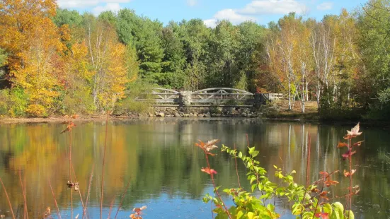 Lincoln Woods State Park