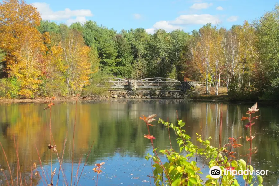 Lincoln Woods State Park