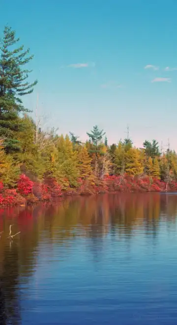 Hotels in Paupack Township