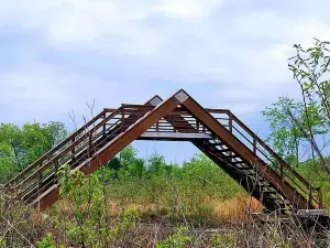 Seven Ponds Nature Center