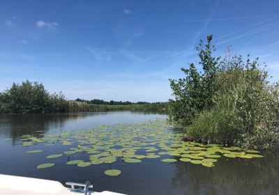 Nieuwkoopse Plassen