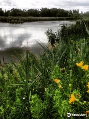 Wawanosh Wetlands Conservation Area