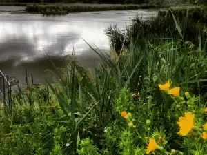 Wawanosh Wetlands Conservation Area