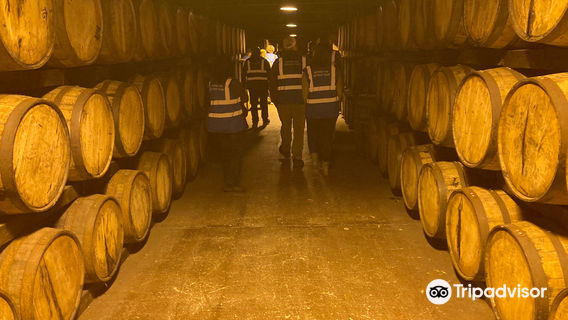 Midleton Distillery Experience
