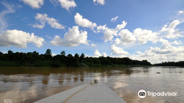 GOGOSABAH TOURS & TRAVEL SDN BHD