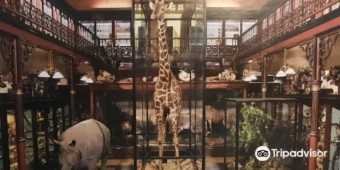 伊普斯維奇博物館