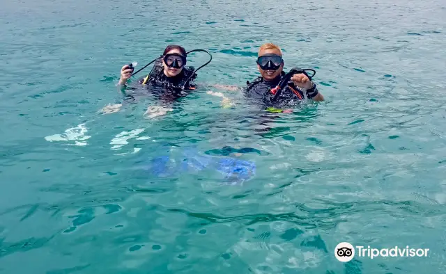 Diving in Bintan
