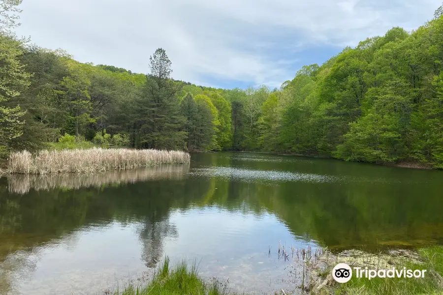 Jefferson Memorial Forest - Horine Reservation