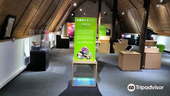 Natural History Museum