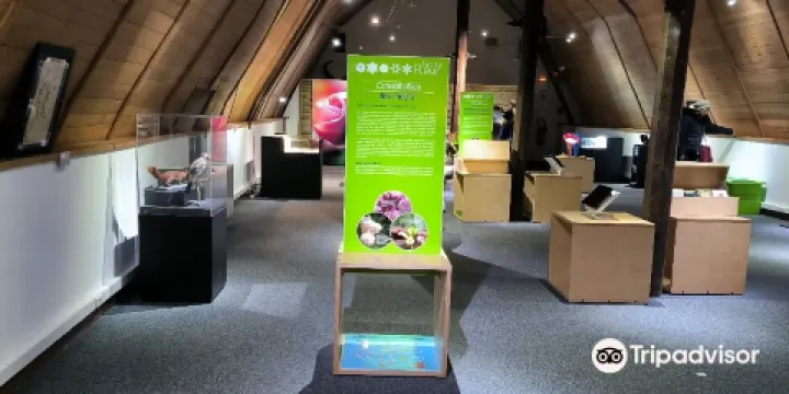 布洛瓦自然曆史博物館