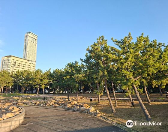 泉佐野市 自由行套票