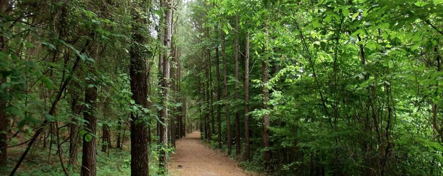 Piper Interpretive Trail