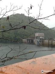 Odomari Dam