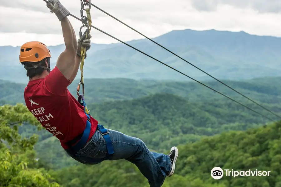 Legacy Mountain Ziplines