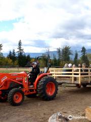 Harpur Family Farm Pumpkin Patch