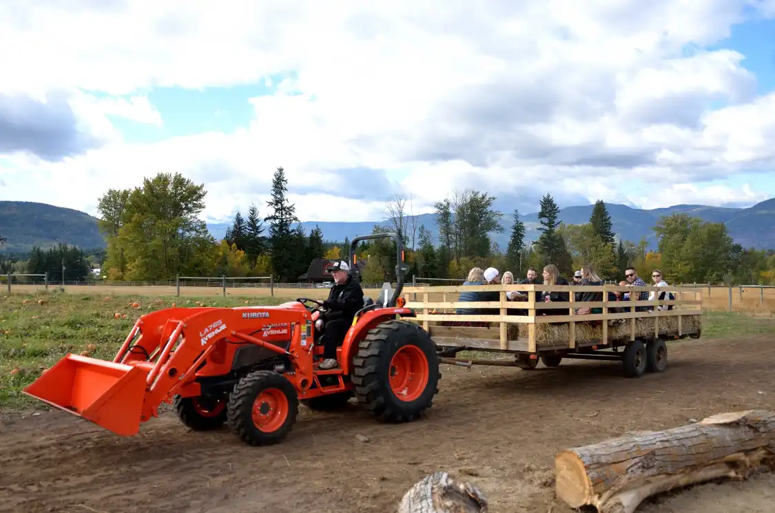 Hotels near Harpur Family Farm Pumpkin Patch
