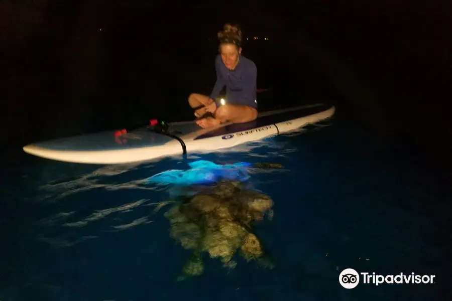 Glow SUP Maui