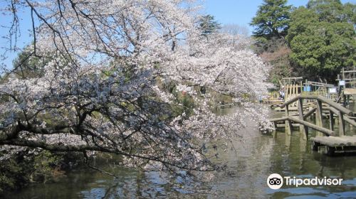 清水公園