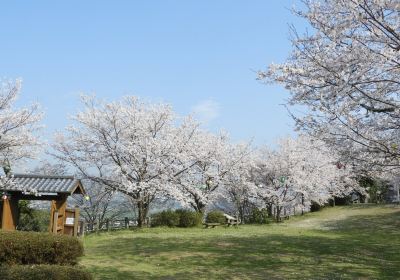 Shiroyama Koen Mae(Shiroyama Park)