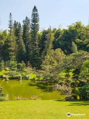 Национальный ботанический сад имени доктора Рафаэля Москосо