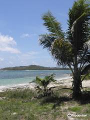 Salt River Bay National Historical Park and Ecological Preserve