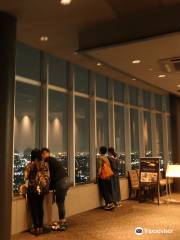 Gifu City Tower 43