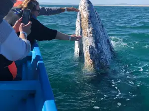 Reserva de la Biosfera El Vizcaíno