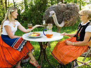 Muhu Ostrich Ltd.