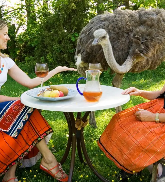 Muhu