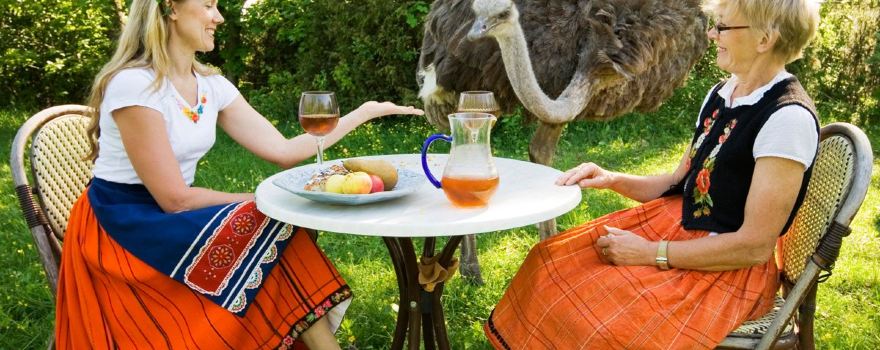 Muhu Ostrich Ltd.